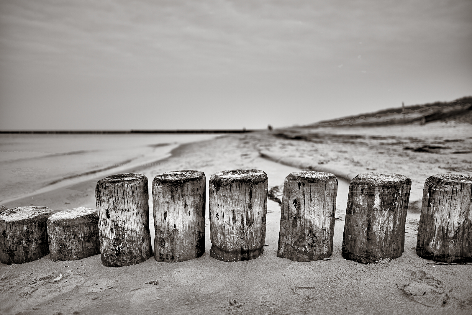 2014-10-03-Dierhagen 12-02-04