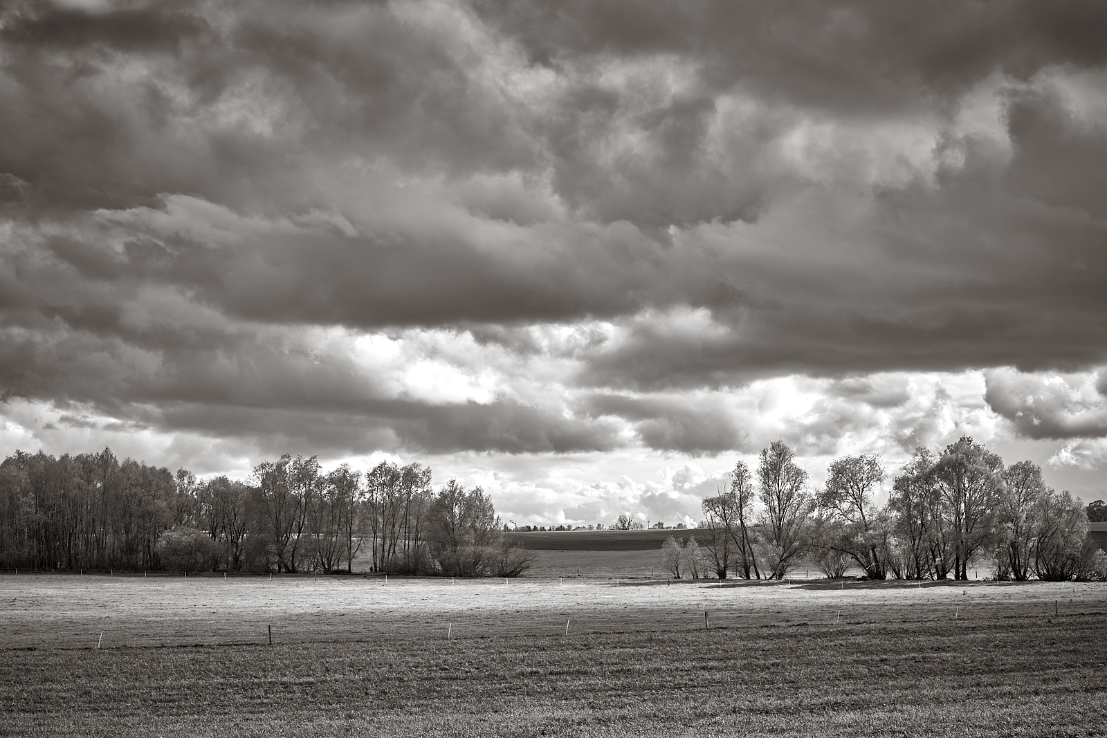 2017-04-16-Bernau 16-21-09