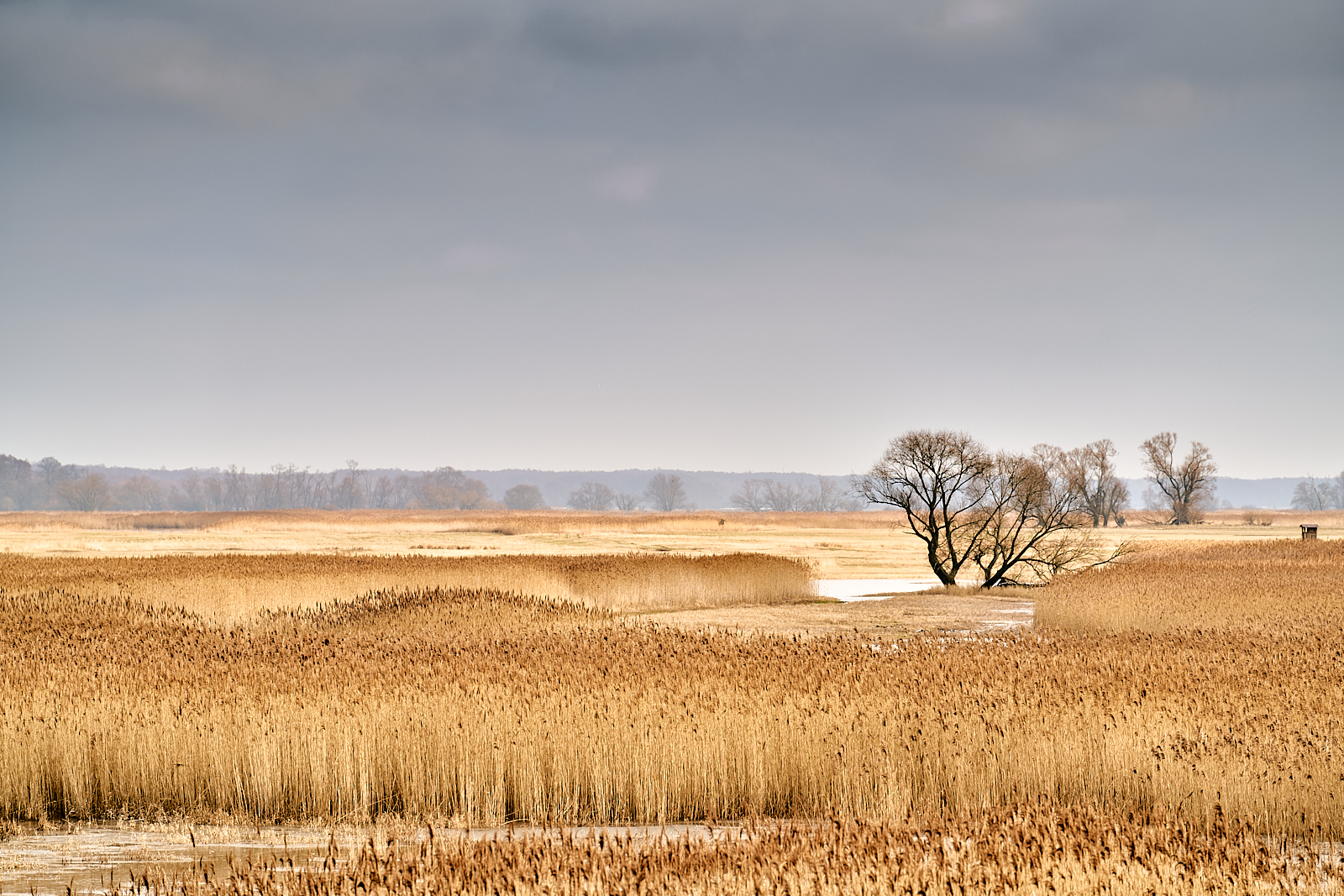 2019-01-19-Oderbruch 14-57-09