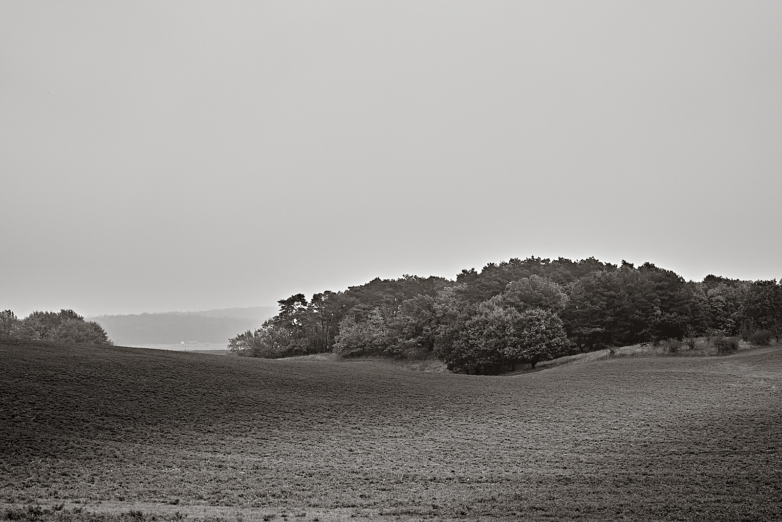 2024-11-10-Ückeritz Usedom 14-23-41