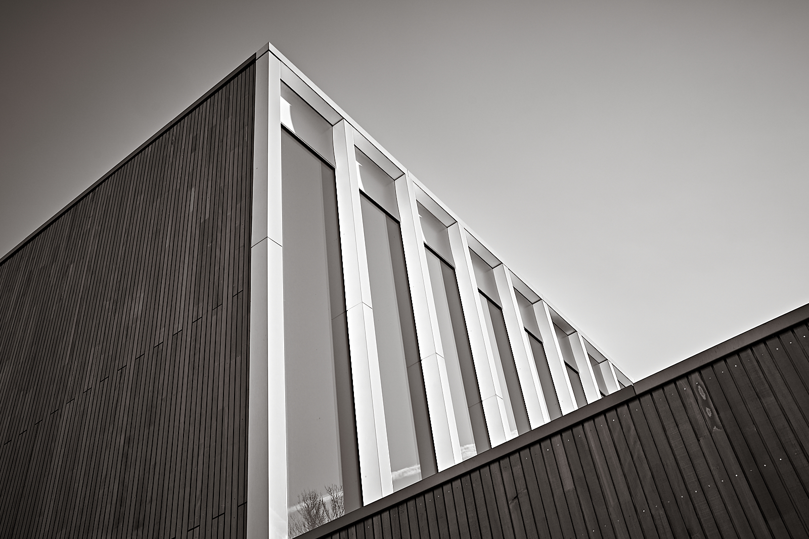 2025-02-04-Sporthalle 12-46-06